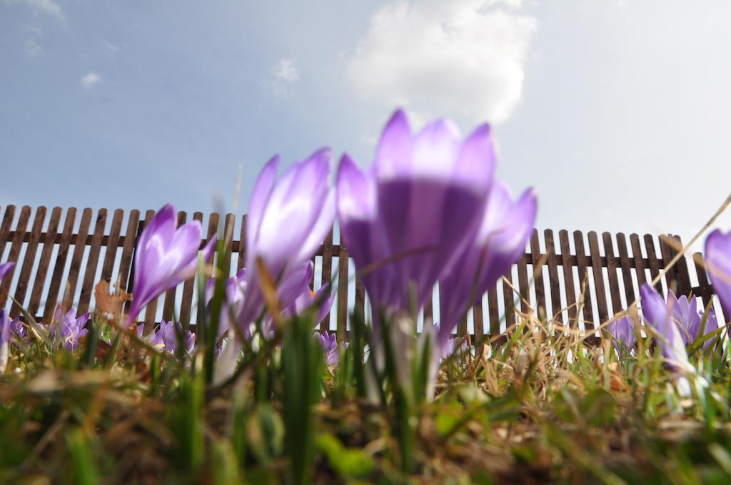 Apartamenty Carpe Diem Kościelisko Exteriör bild