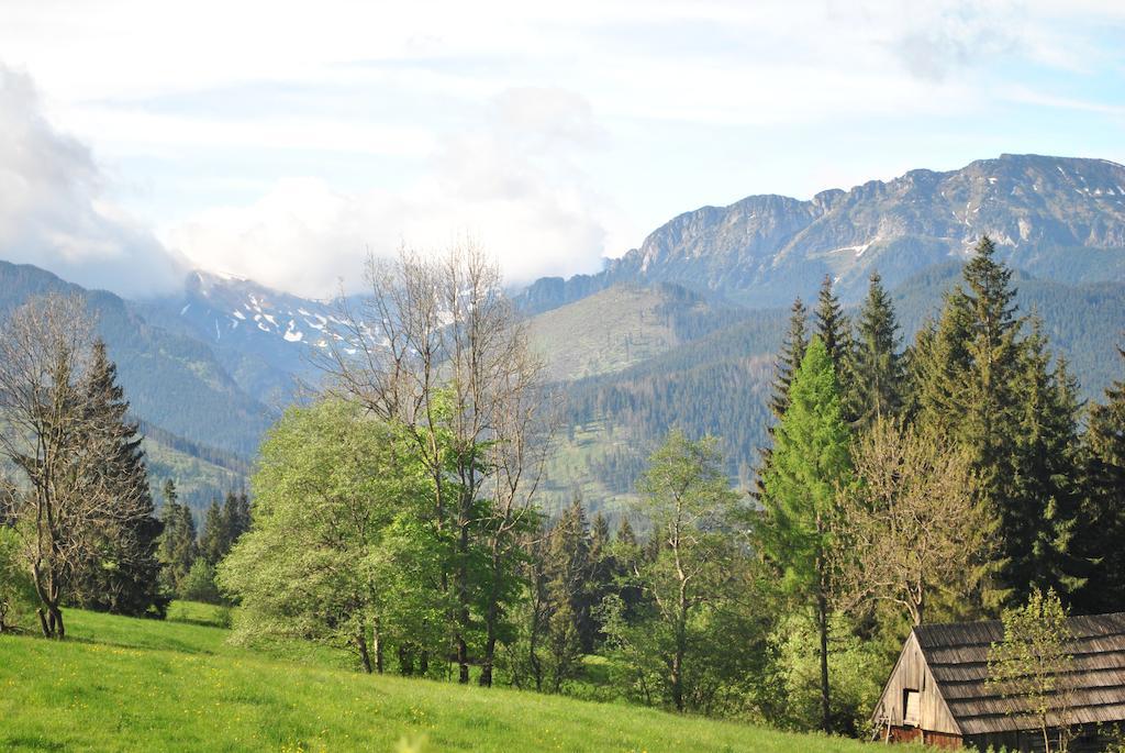 Apartamenty Carpe Diem Kościelisko Exteriör bild