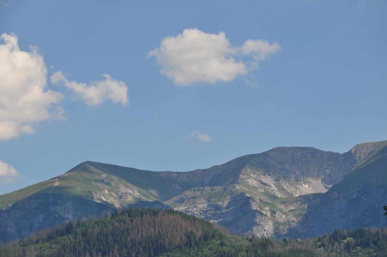Apartamenty Carpe Diem Kościelisko Exteriör bild